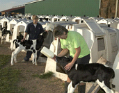 Logettes individuelles